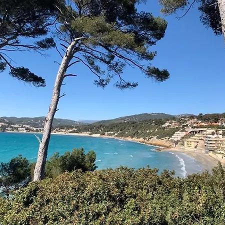 L'amandier Bandol