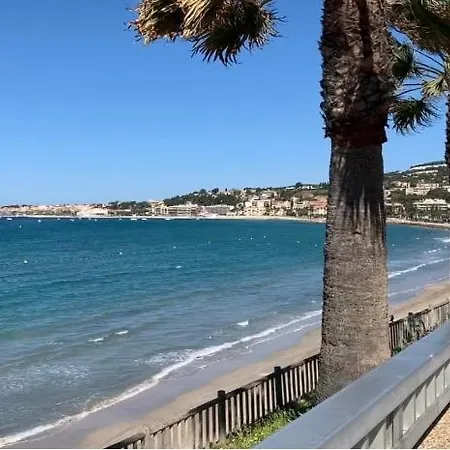 L'amandier Bandol